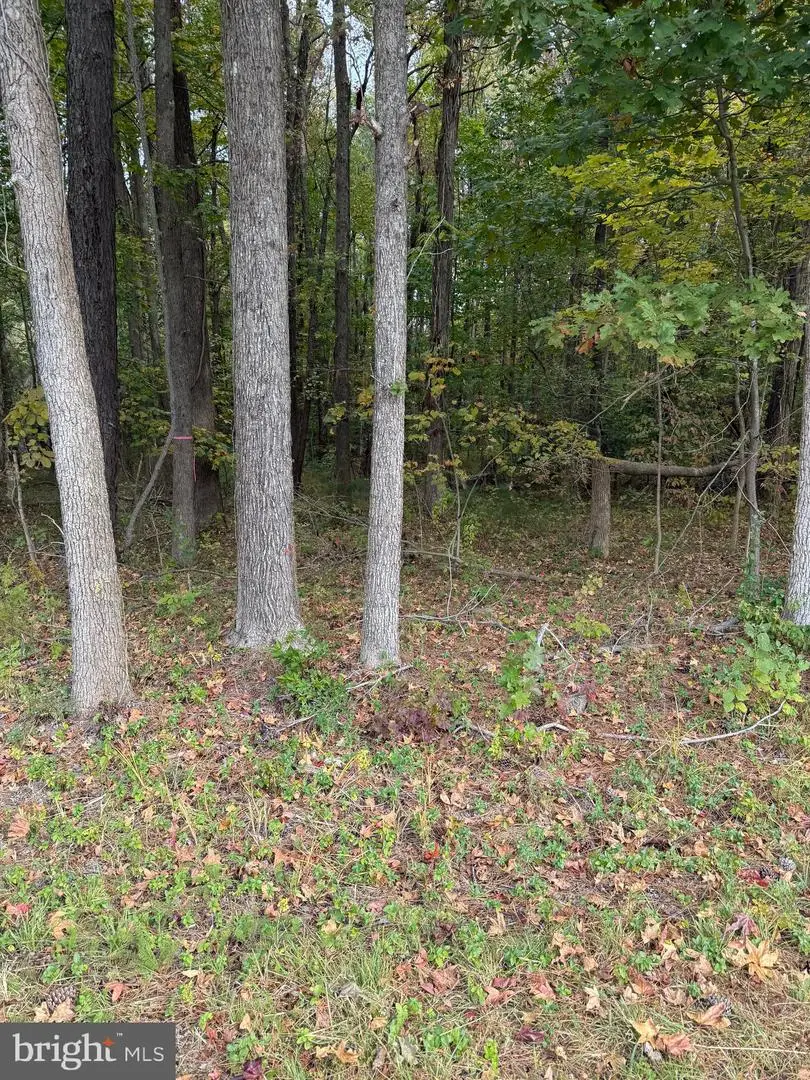 Lot 104 American Dr, Montross, VA 22520 - Image #1