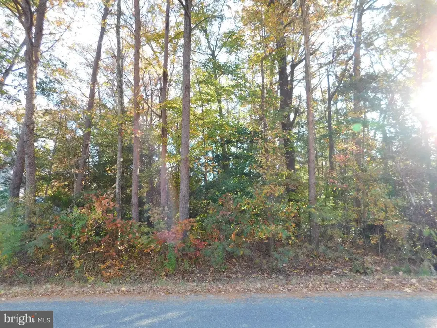 Tn 10c 8 1 23 Forest Grove Rd, Colonial Beach, VA 22443 - Image #2