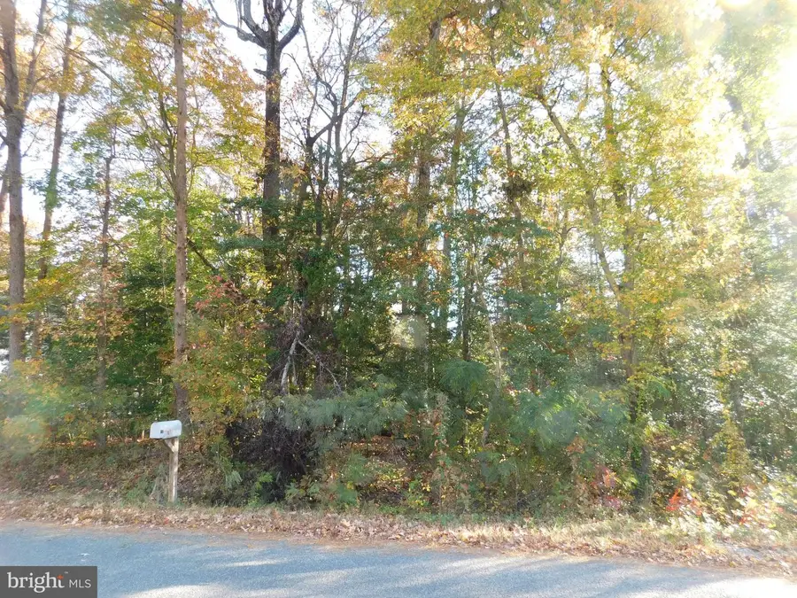 Tn 10c 8 1 23 Forest Grove Rd, Colonial Beach, VA 22443 - Image #3