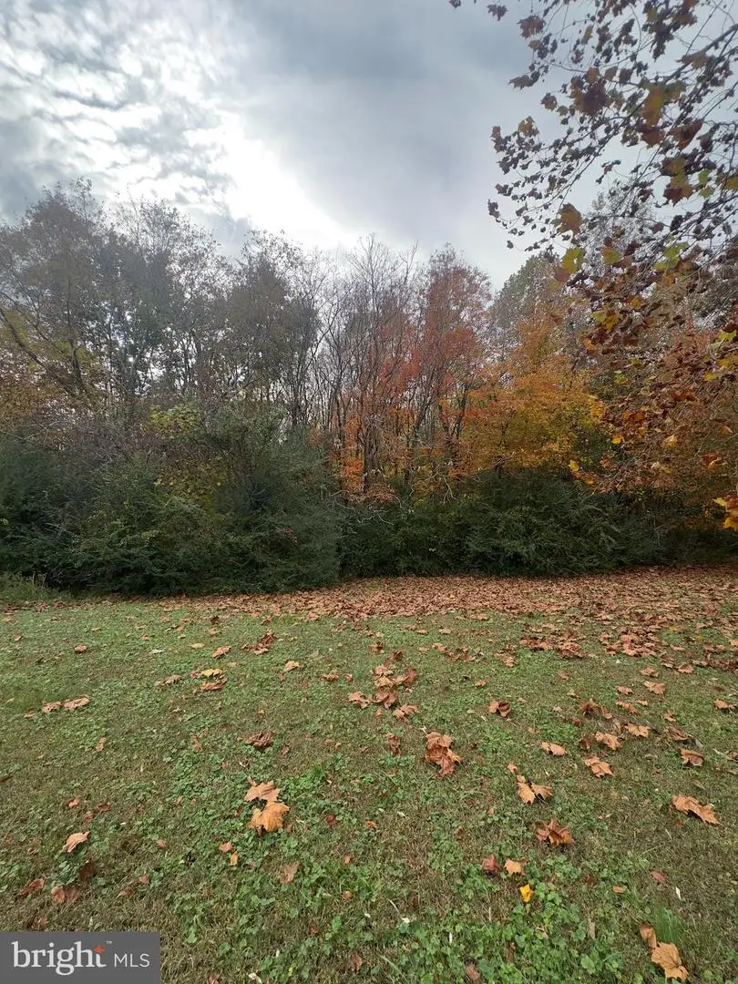 Zacata Rd, Montross, VA 22520 - #1