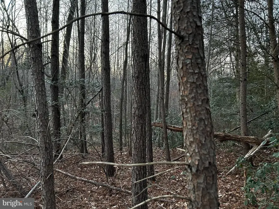 0 Pratts Place, Montross, VA 22520 - #3