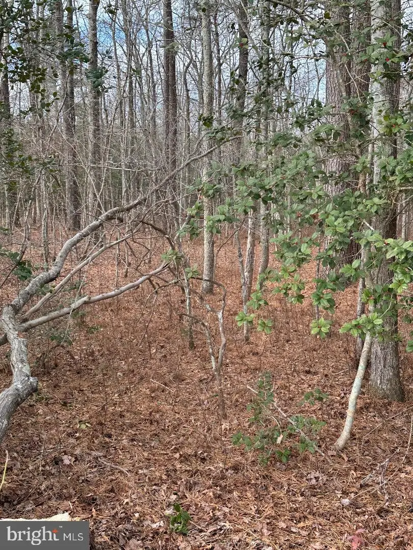 Lot 163a Erica Rd, Montross, VA 22520 - Image #2
