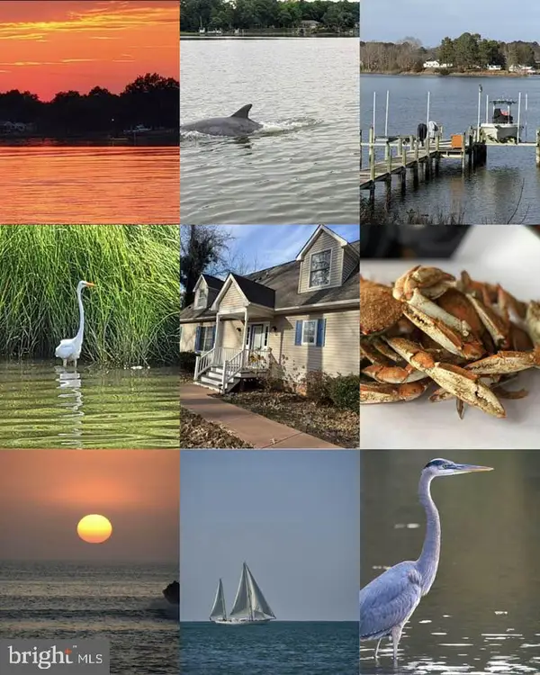 82 Westmoreland Blvd, HAGUE, VA 22469