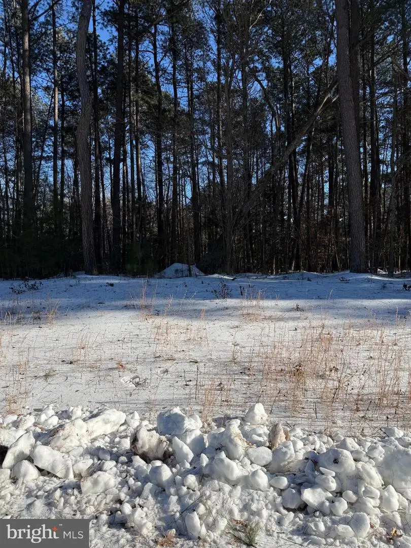 Lot #2 Woodberry Dr, Montross, VA 22520 - #2