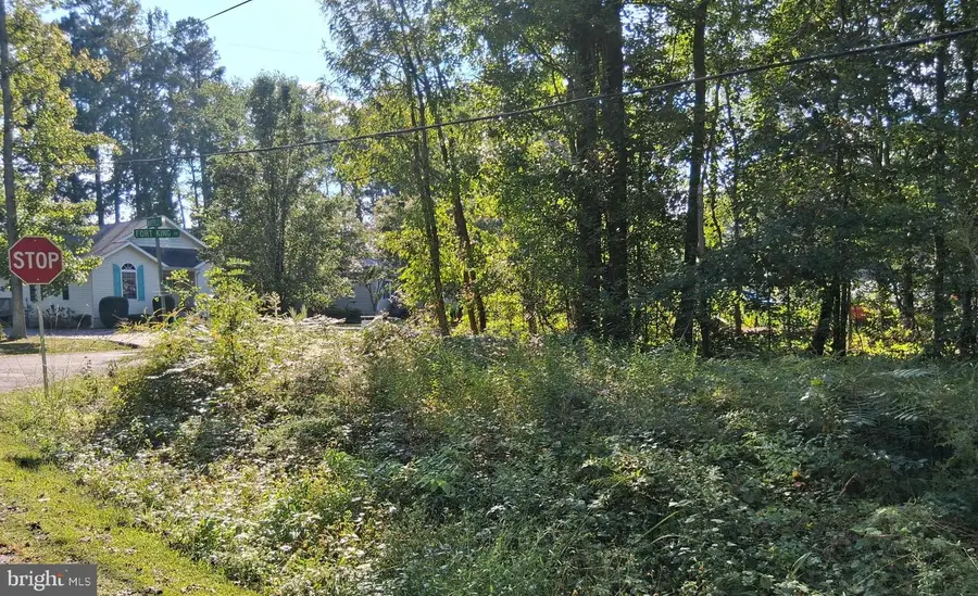 Lot 16 Fort King Dr, Colonial Beach, VA 22443 - #2