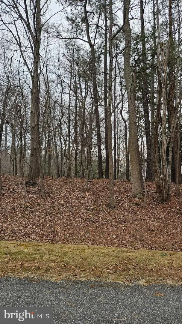 Lot 20 Hidden Lake Dr., Montross, VA 22520 - #1