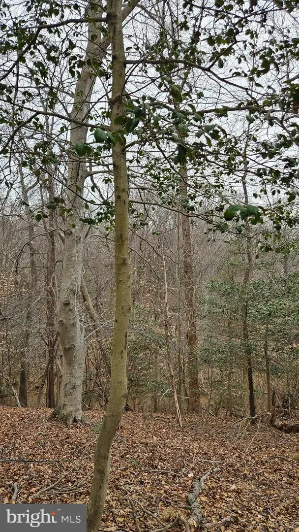 Lot 20 Hidden Lake Dr., Montross, VA 22520 - #3