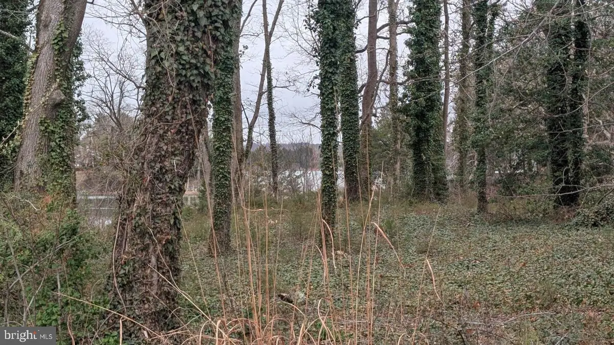 Lot 30z Clubhouse Loop, Montross, VA 22520 - #1