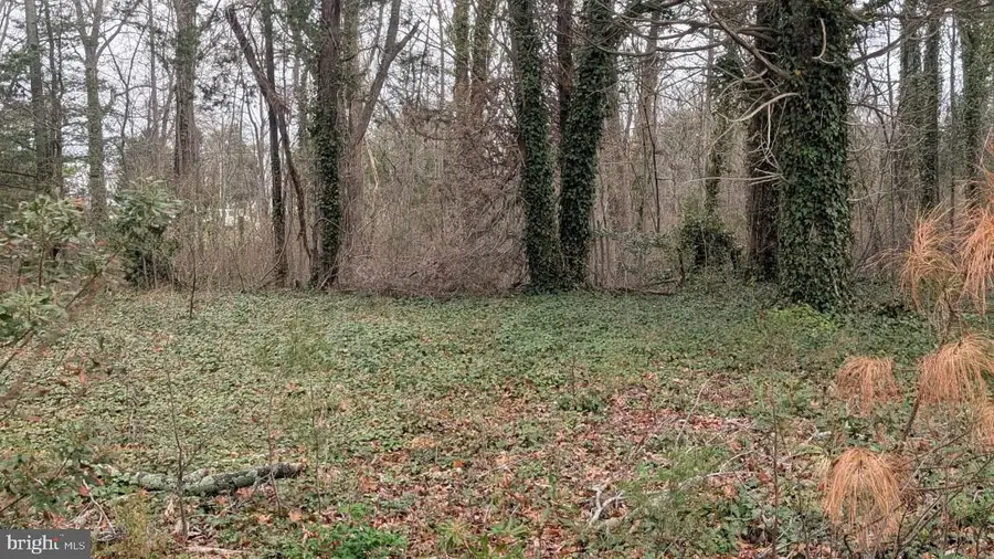 Lot 30z Clubhouse Loop, Montross, VA 22520 - #3