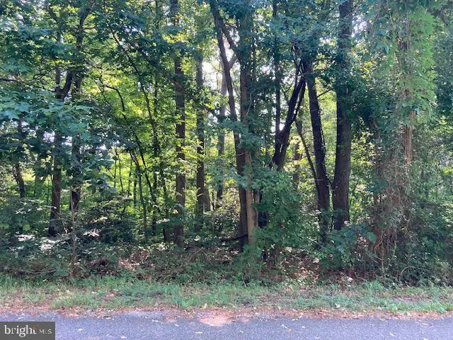 Lot 215 Bay Pointe Dr, Montross, VA 22520 - #1