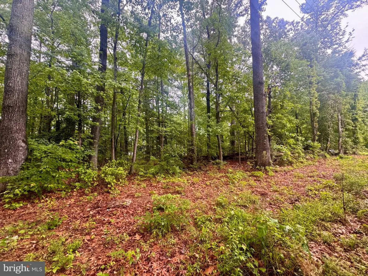 72-75 Henry Dr, Hague, VA 22469 - #1
