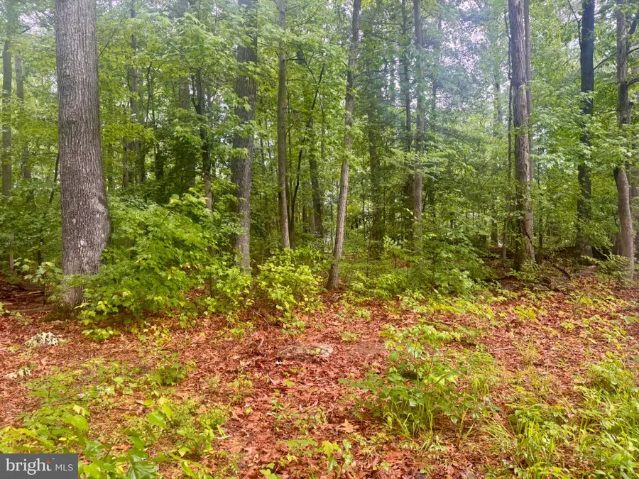 72-75 Henry Dr, Hague, VA 22469 - #3