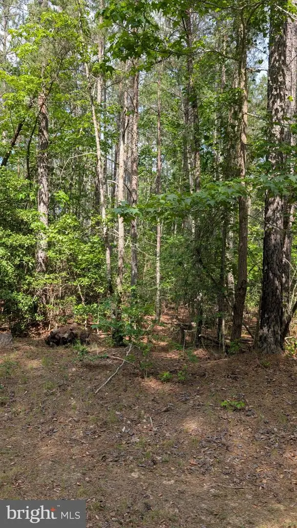 Lot 39 Eagle Vista Ln, Colonial Beach, VA 22443 - #2