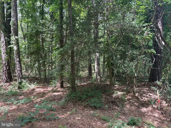0 Pioneer Trail, HAGUE, VA 22469