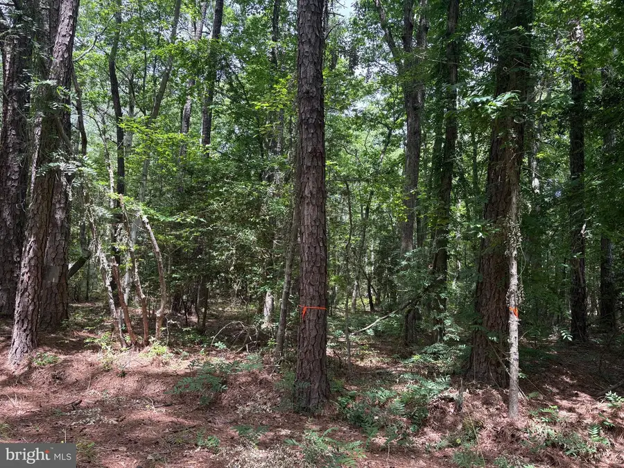 Lot 27 Stotsylvania Road, Hague, VA 22469 - #2