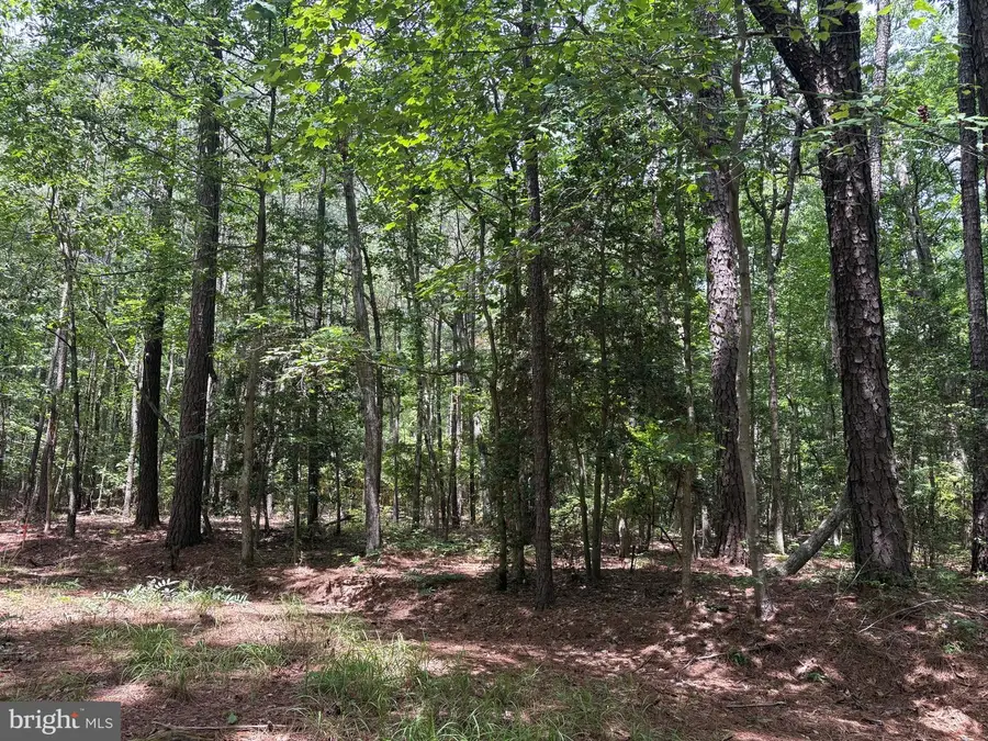 Lot 27 Stotsylvania Road, Hague, VA 22469 - #3
