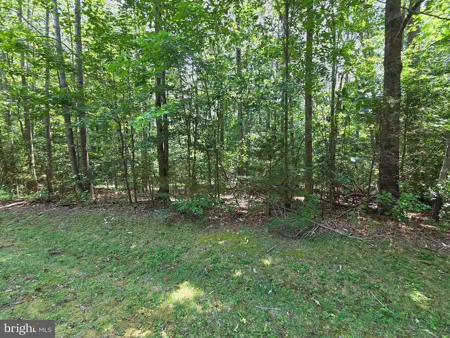 Lot 26 Greenpoint Landing Road, Montross, VA 22520 - #2