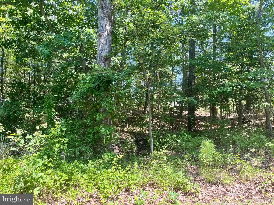 Lots 8 And 9 Warner Ave, Hague, VA 22469 - #2