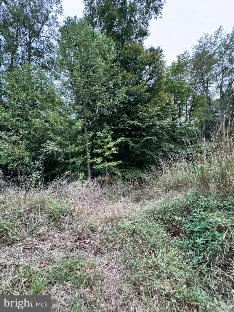 151 S Independence Dr, Montross, VA 22520 - #1