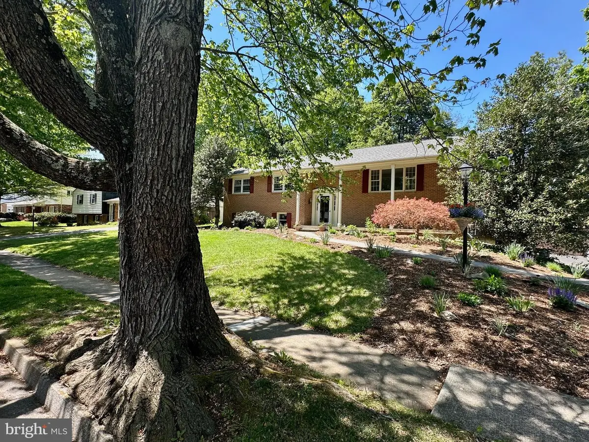 315 Walker St, Winchester, VA 22601 - #1