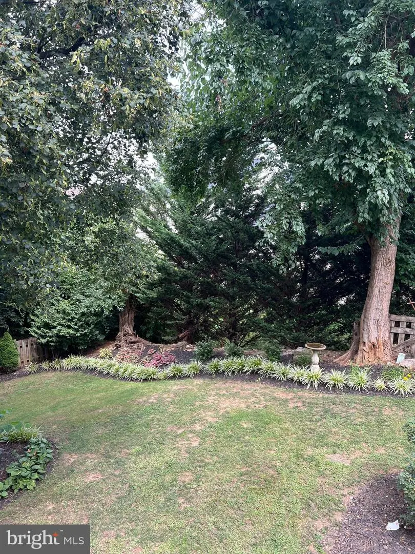 802 Appleseed Ct, Winchester, VA 22601 - #3