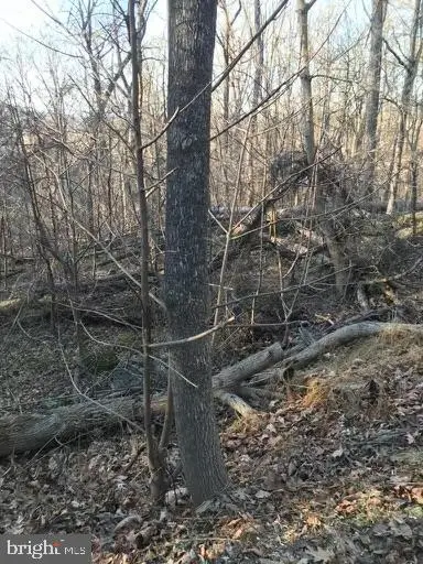 Northern Spy Dr, Linden, VA 22642 - Image #3