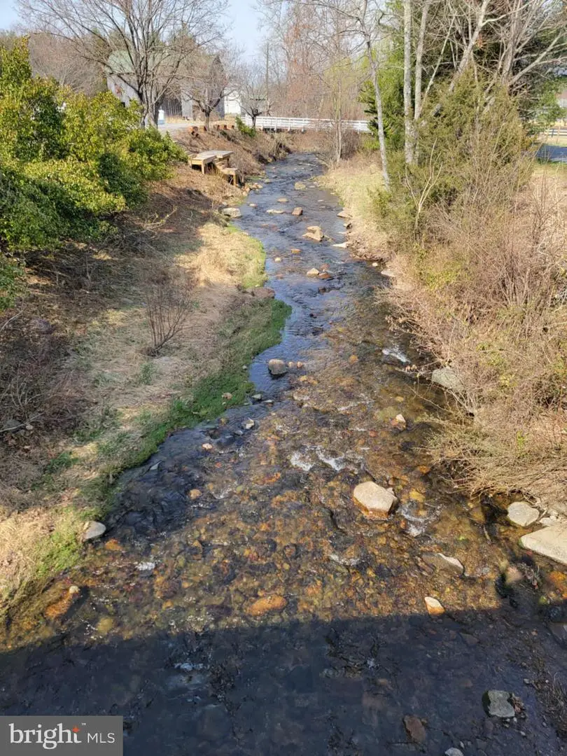 5865 Gooney Manor Loop, Bentonville, VA 22610 - Image #3