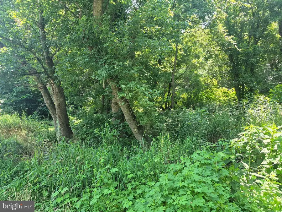 Stonewall Jackson Hwy, Front Royal, VA 22630 - Image #3