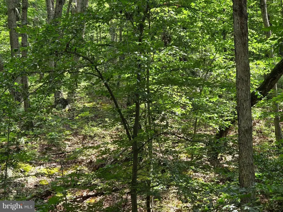 Hillandale Rd Lot 31, Front Royal, VA 22630 - Image #2