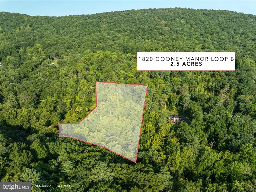 0 Gooney Manor Loop, Bentonville, VA 22610 - Image #3