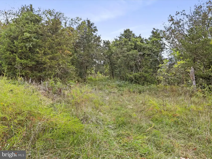 Andrews, Strasburg, VA 22657 - Image #2