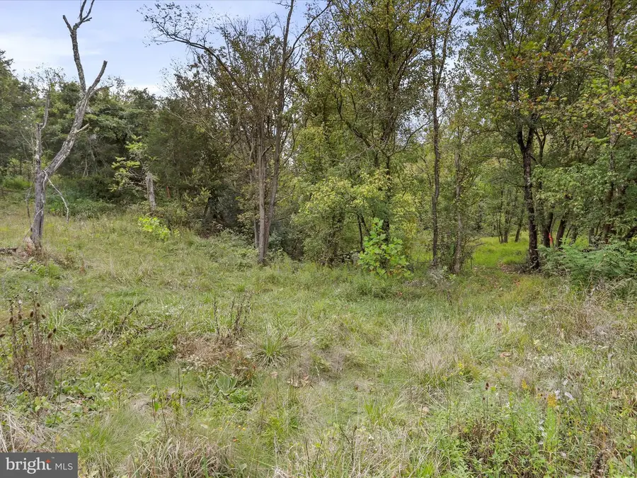 Andrews Rd, Strasburg, VA 22657 - Image #3