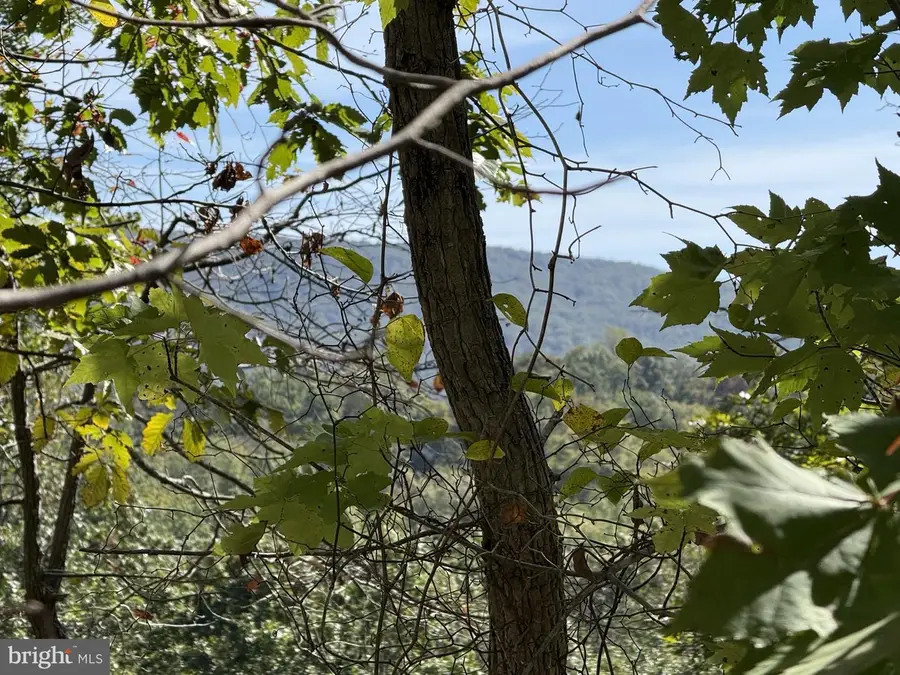 Lot 59 Old Oregon Rd, Front Royal, VA 22630 - Image #2