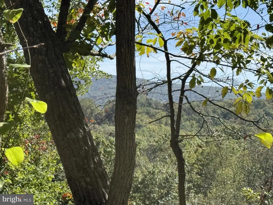 Lot 59 Old Oregon Rd, Front Royal, VA 22630 - Image #3