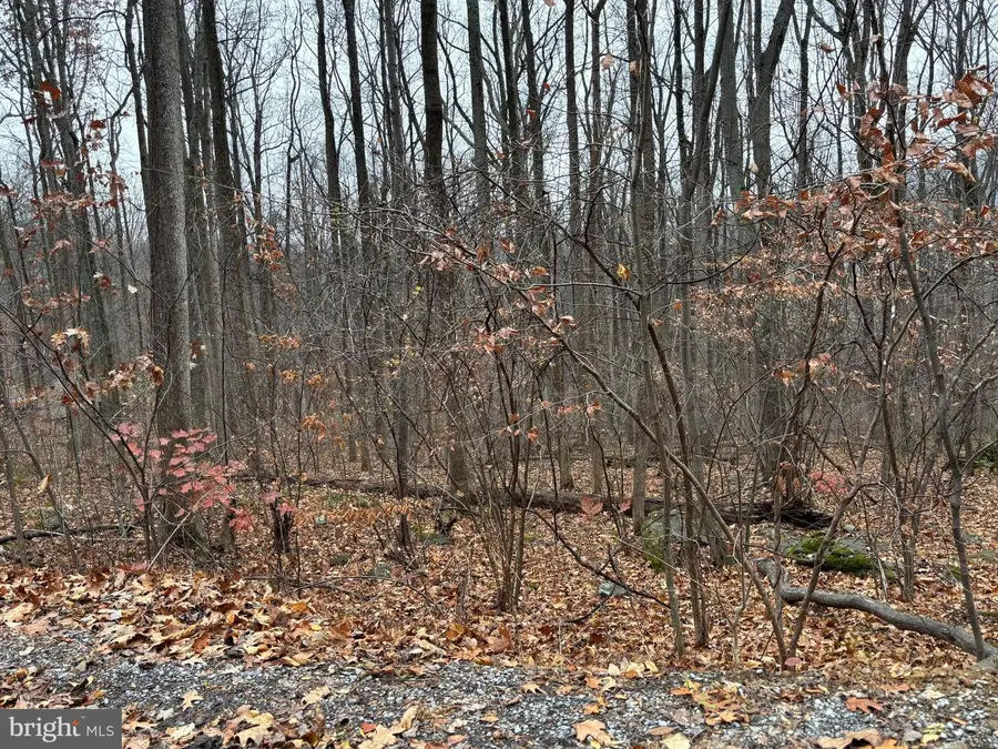 L12 Apple Mountain Lk S, Linden, VA 22642 - Image #2