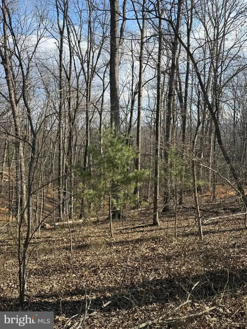 Arrowhead Rd, Front Royal, VA 22630 - Image #1