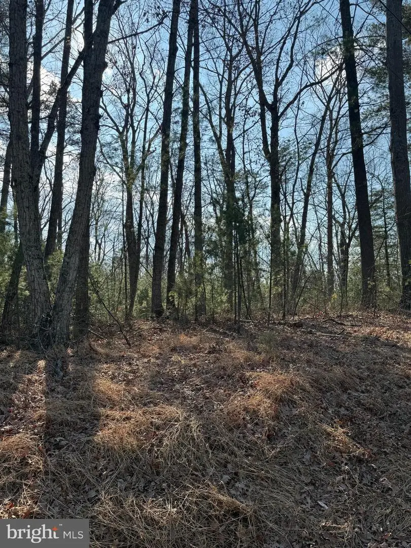 Arrowhead Rd, Front Royal, VA 22630 - Image #2