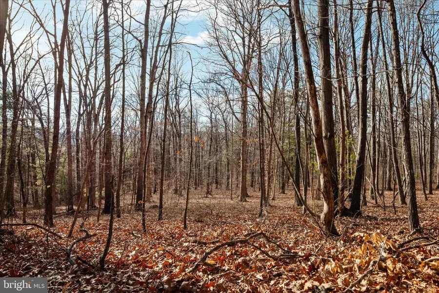 Catron Ridge Road, Bentonville, VA 22610 - Image #2