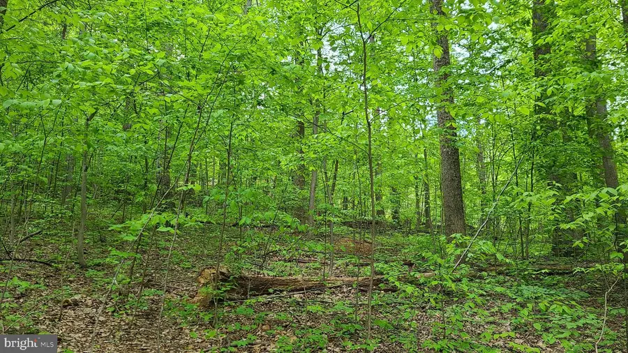 Mosby Spring Ln, Linden, VA 22642 - Image #3