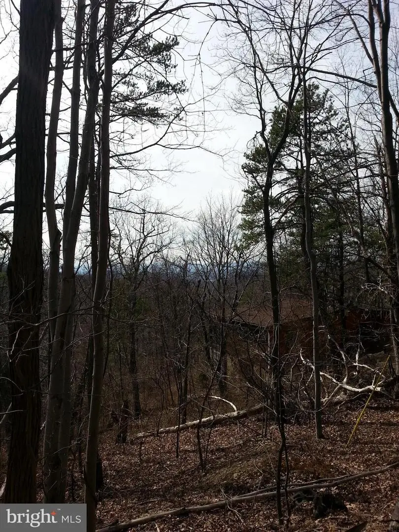 Kits Ct, Front Royal, VA 22630 - Image #2