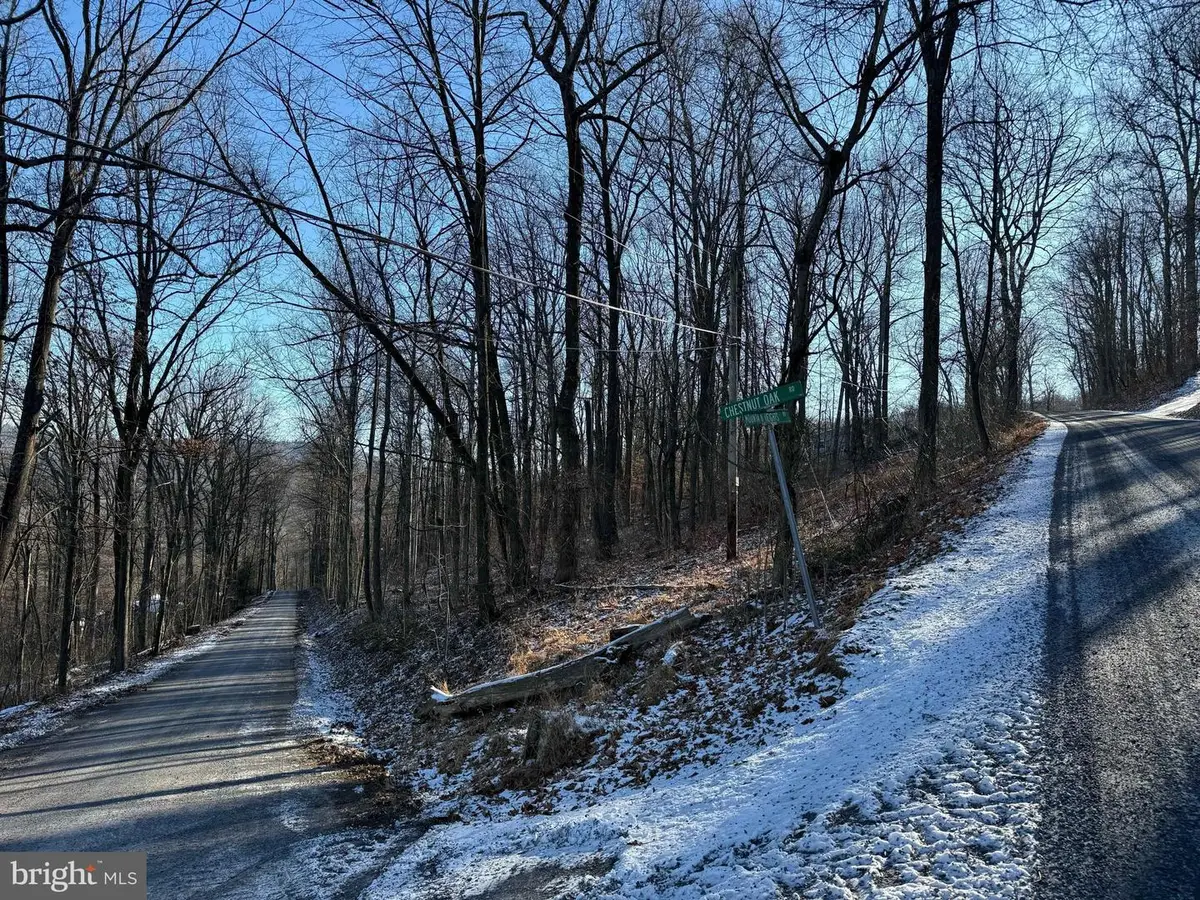 Lot 33 Mountain Heights Rd, Front Royal, VA 22630 - Image #1