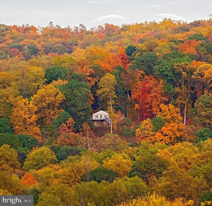 500 Delicious Rd, Linden, VA 22642 - #1