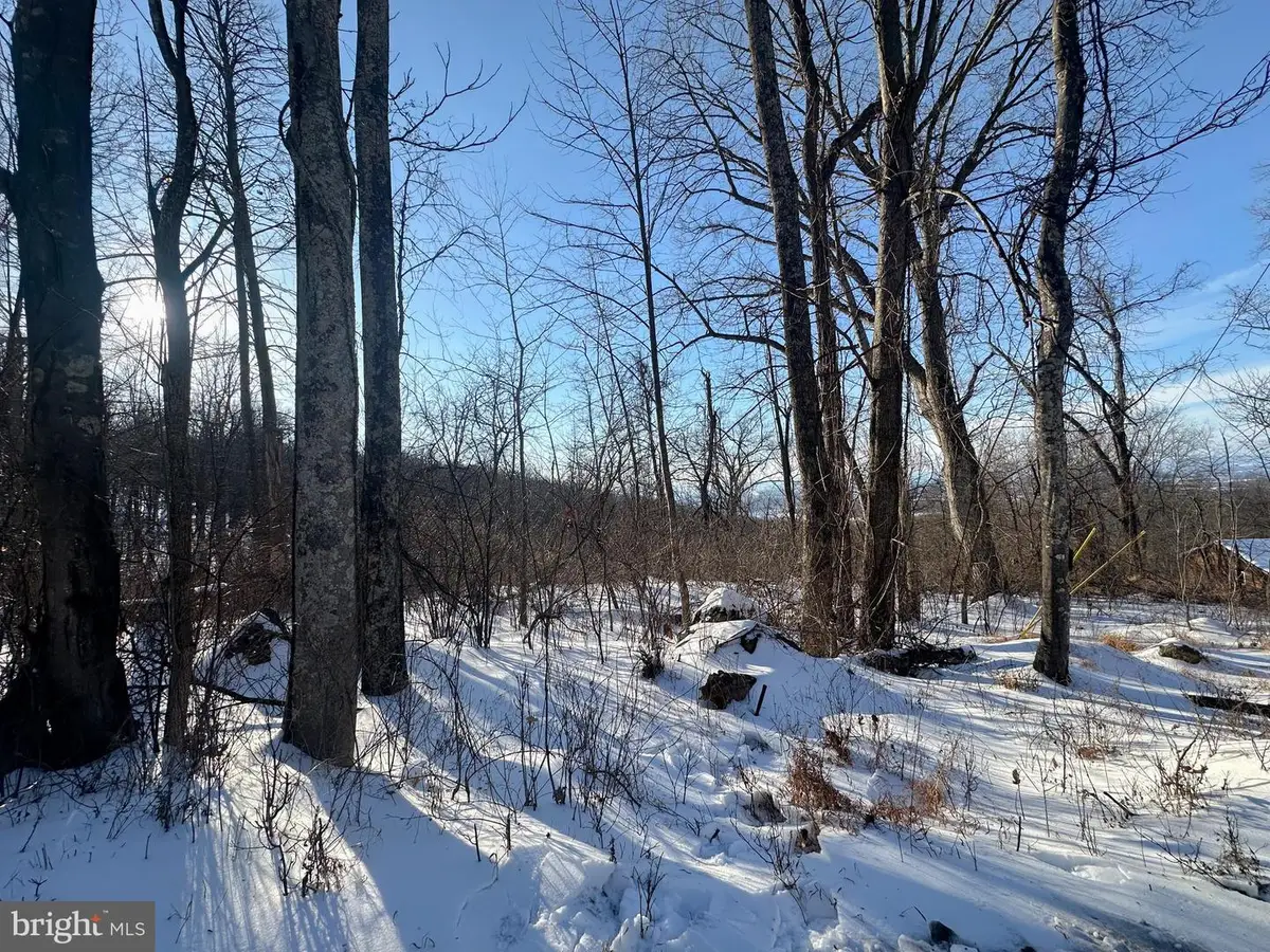 Lot 71 High Top Rd, Linden, VA 22642 - Image #1