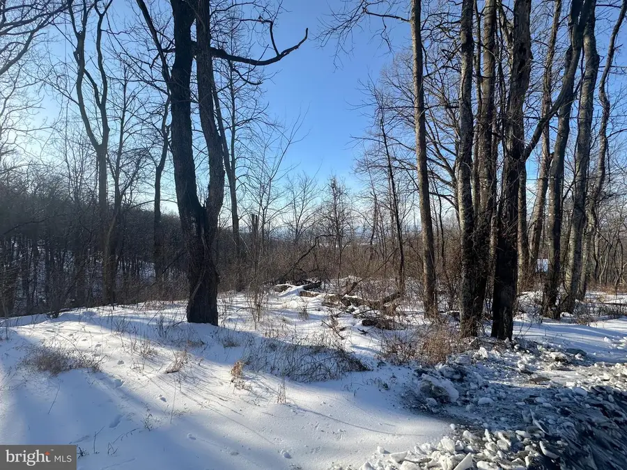 Lot 71 High Top Rd, Linden, VA 22642 - Image #2