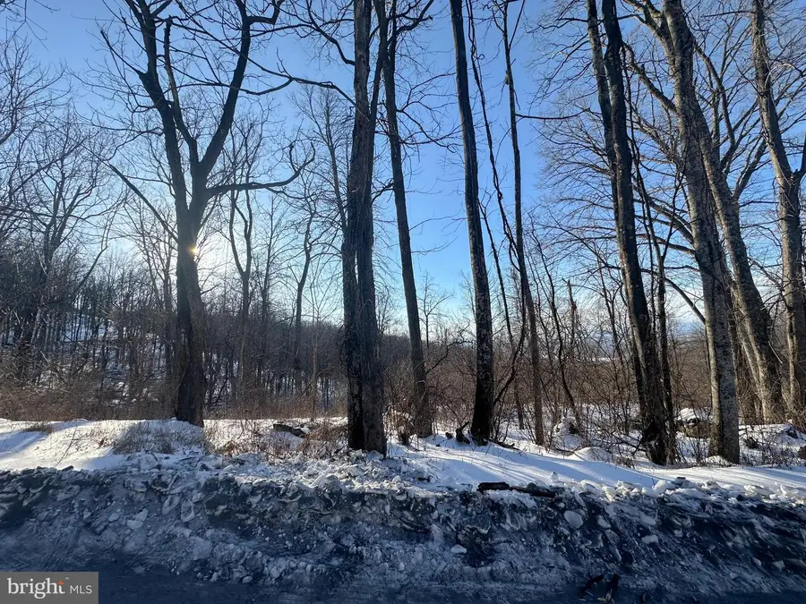 Lot 71 High Top Rd, Linden, VA 22642 - Image #3