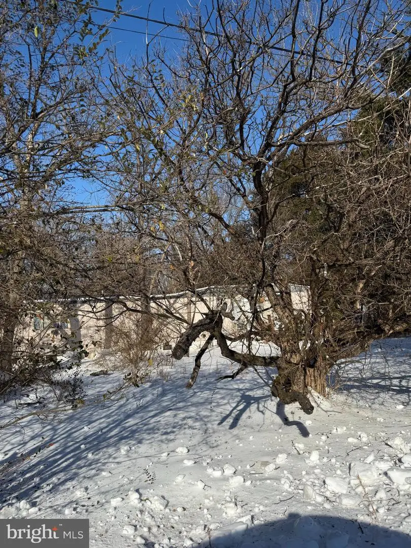 389 Fellows Dr, Front Royal, VA 22630 - Image #2