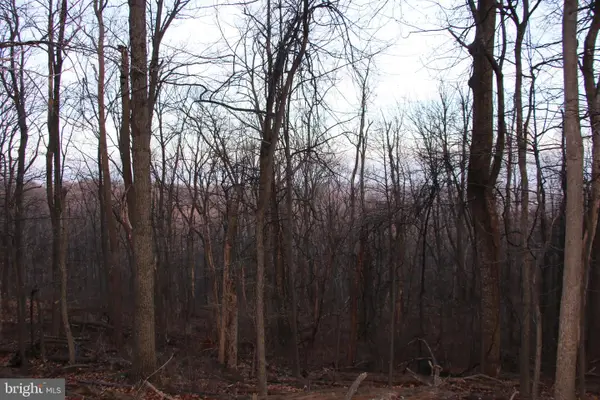 Windy Way, FRONT ROYAL, VA 22630