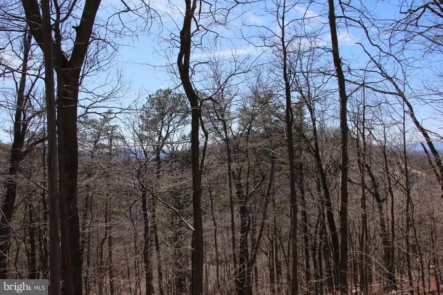 Wendy Hill Rd, Front Royal, VA 22630 - #3