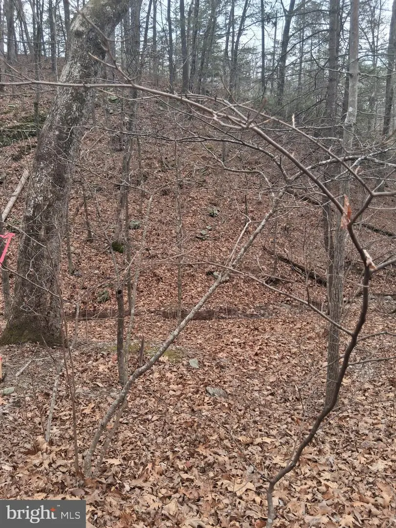 Vesey Dr, Front Royal, VA 22630 - #1