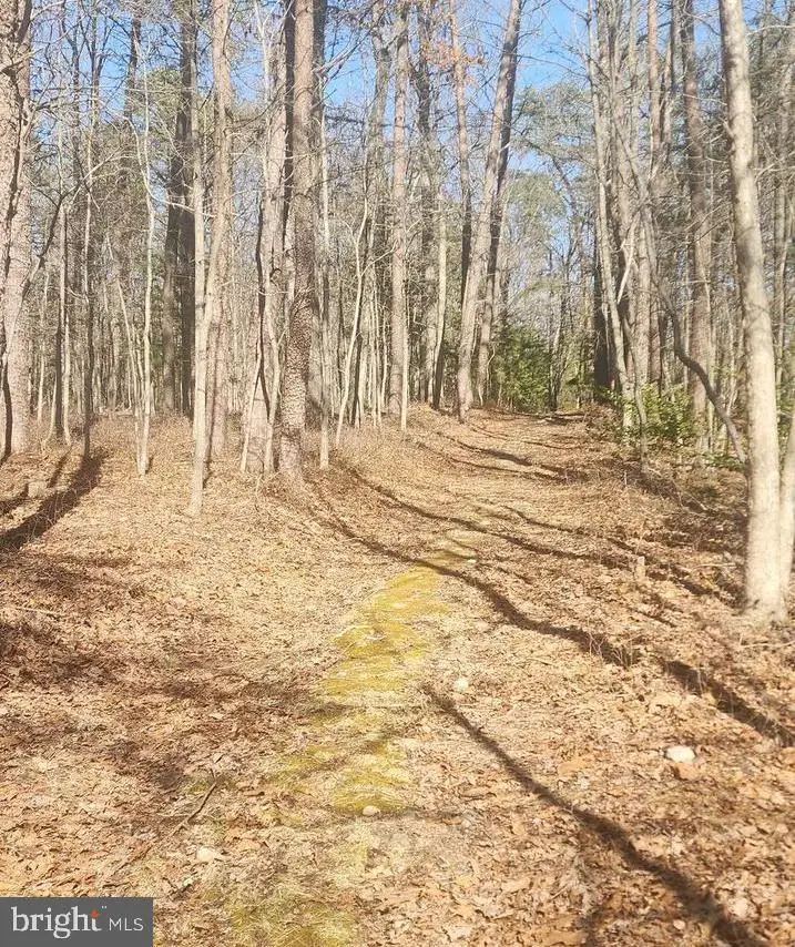 0 Dogwood Ln, Bentonville, VA 22610 - #1